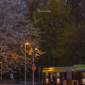 少妇被下药强摸做爰A片
