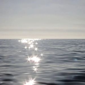 少妇被下药强摸做爰A片
