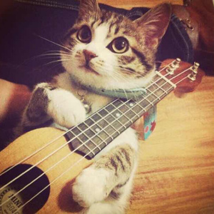 少妇被下药强摸做爰A片
