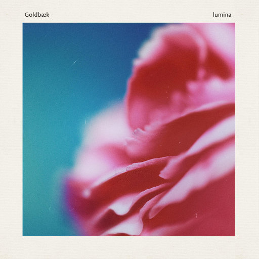 少妇被下药强摸做爰A片
